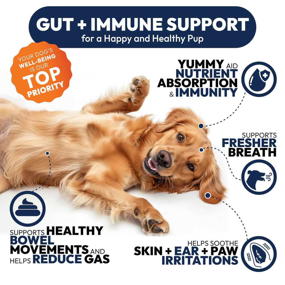 Petsology Probiotiques chiens — dosage quotidien simple pour le soutien digestif.