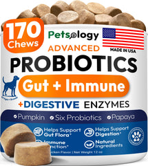 Petsology Probiotiques pour chiens — emballage pratique facilitant l'administration quotidienne.