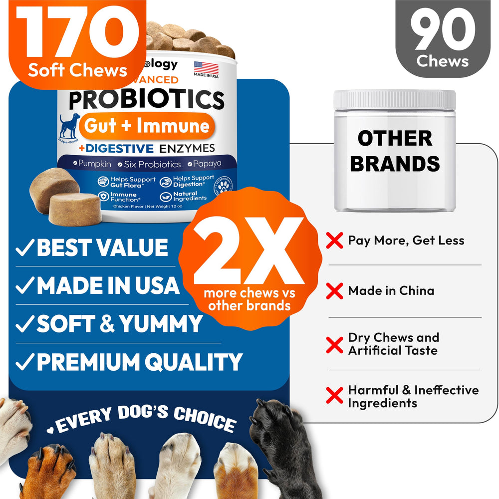 Petsology Probiotiques chiens — ingrédients prébiotiques et probiotiques de qualité.
