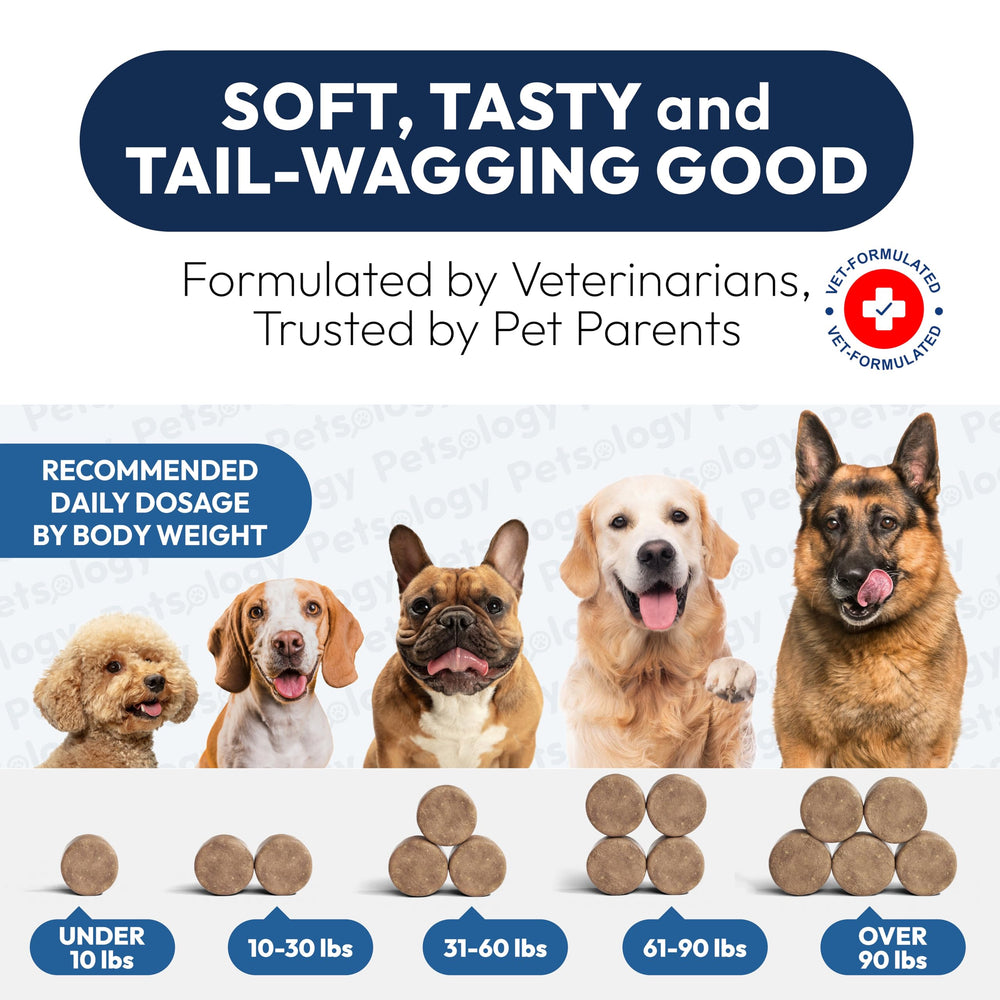 Petsology Probiotiques chiens — présentoir lisible pour les portions recommandées.