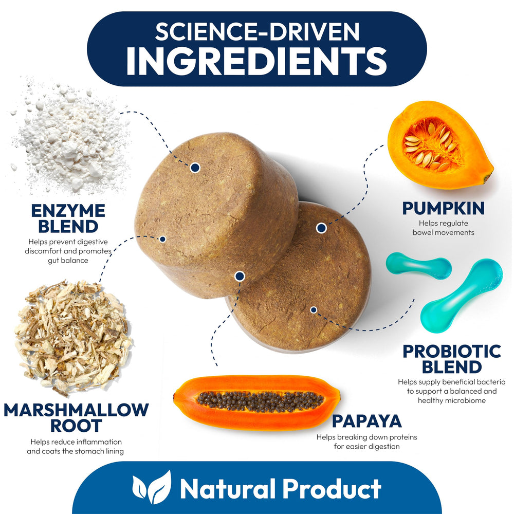 Petsology Probiotiques chiens — texture de morceaux faciles à ingérer pour les chiens.