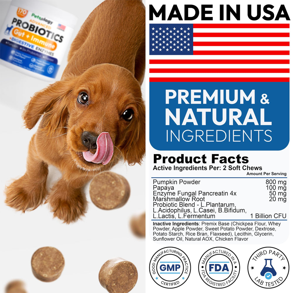 Petsology Probiotiques chiens — usage quotidien pratique avec repas.