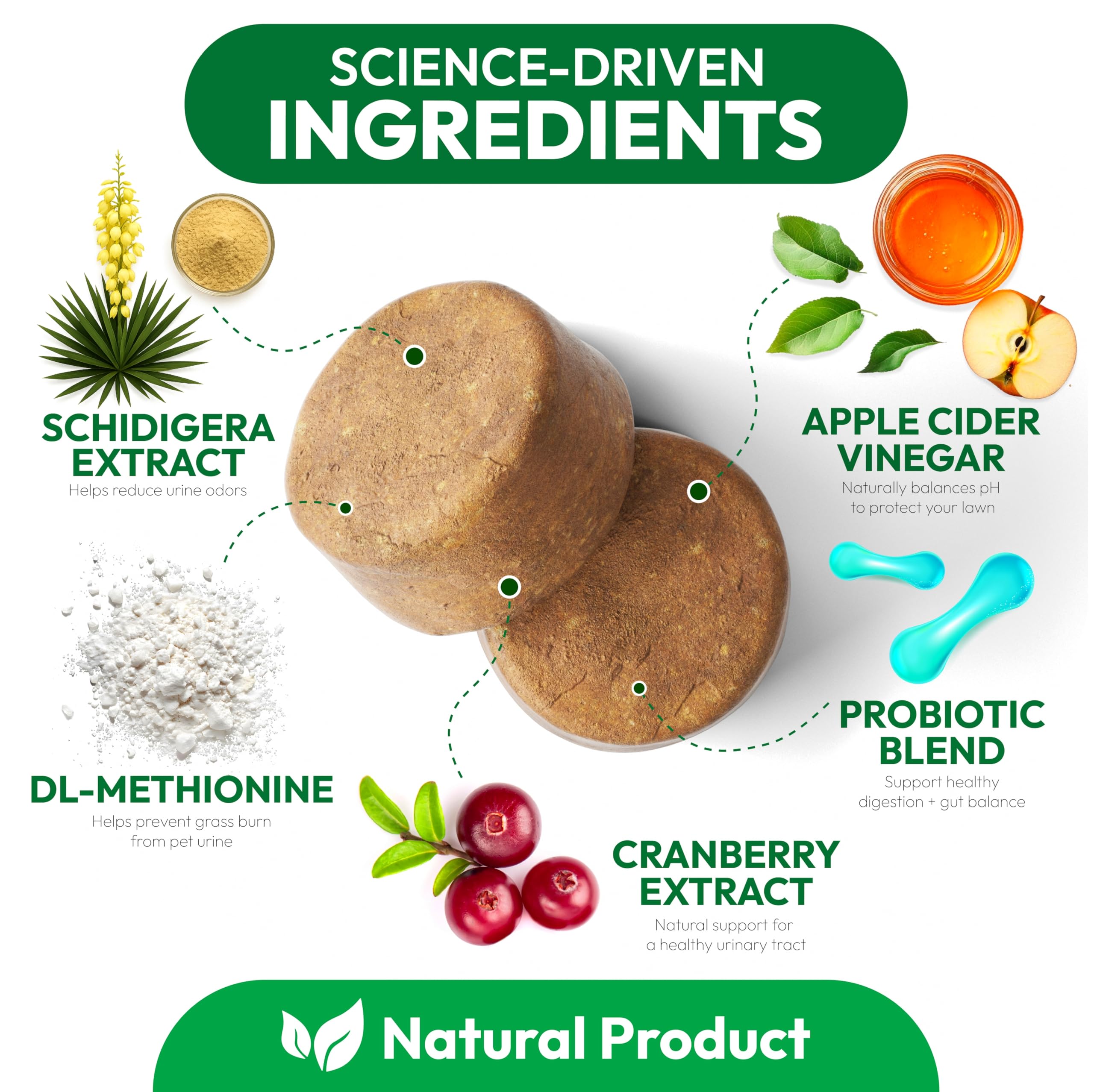 Petsology probiotiques et enzymes soutenant l’équilibre digestif et urinaire