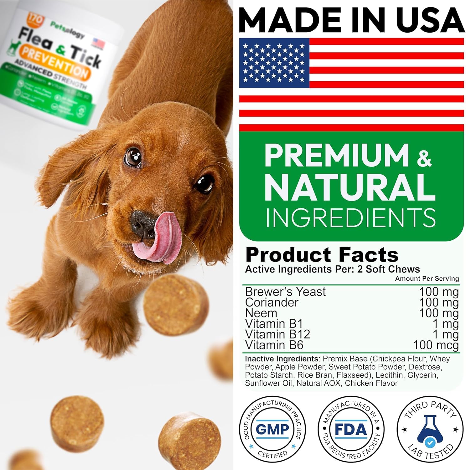 Petsology protection-longue-duree-chien: défense continue contre les nuisibles.