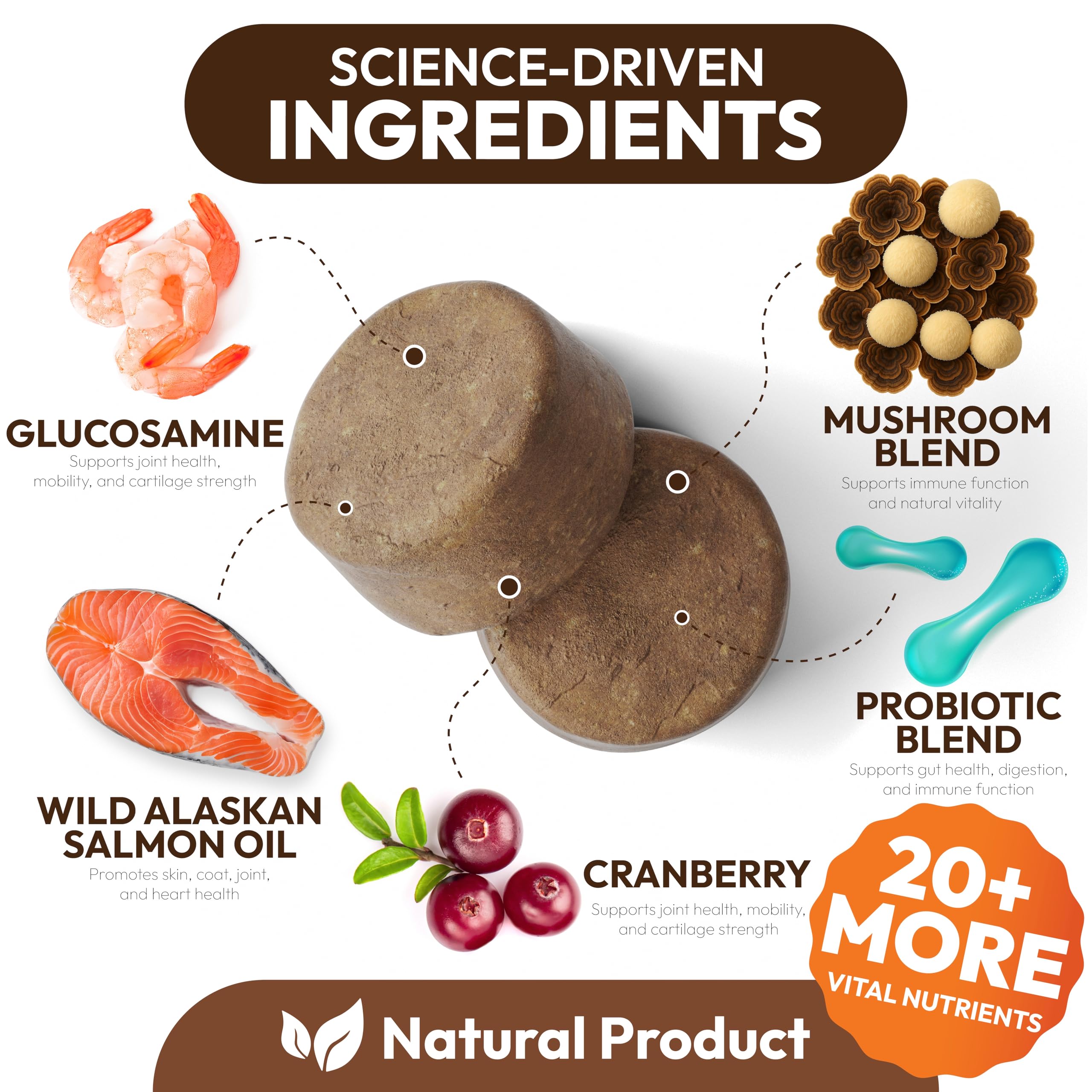Petsology shiitake: antioxydants naturels pour peau et digestion des chiens.