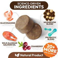 Petsology shiitake: antioxydants naturels pour peau et digestion des chiens.
