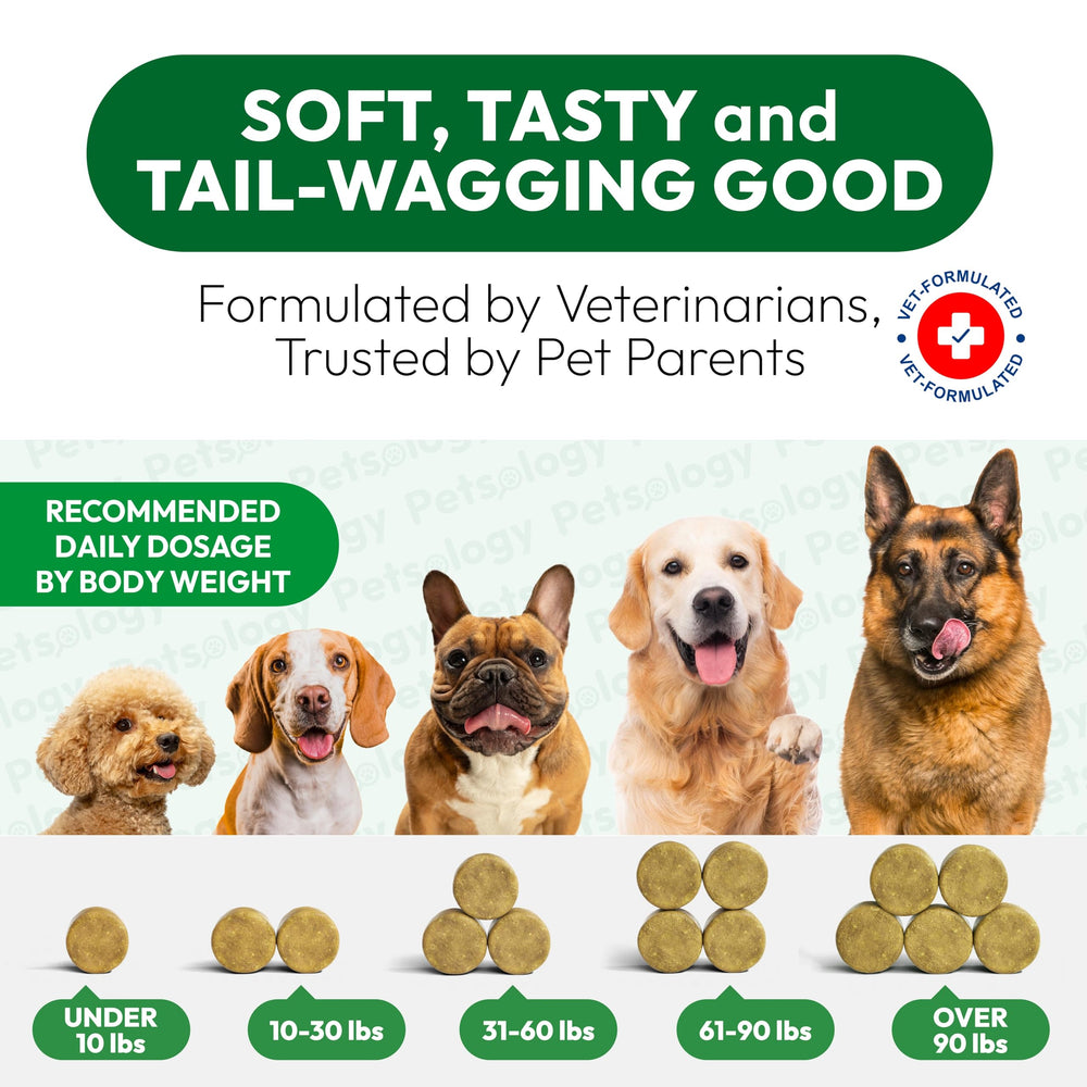 Soutien immunitaire potentiel avec Petsology pour chiens sensibles.