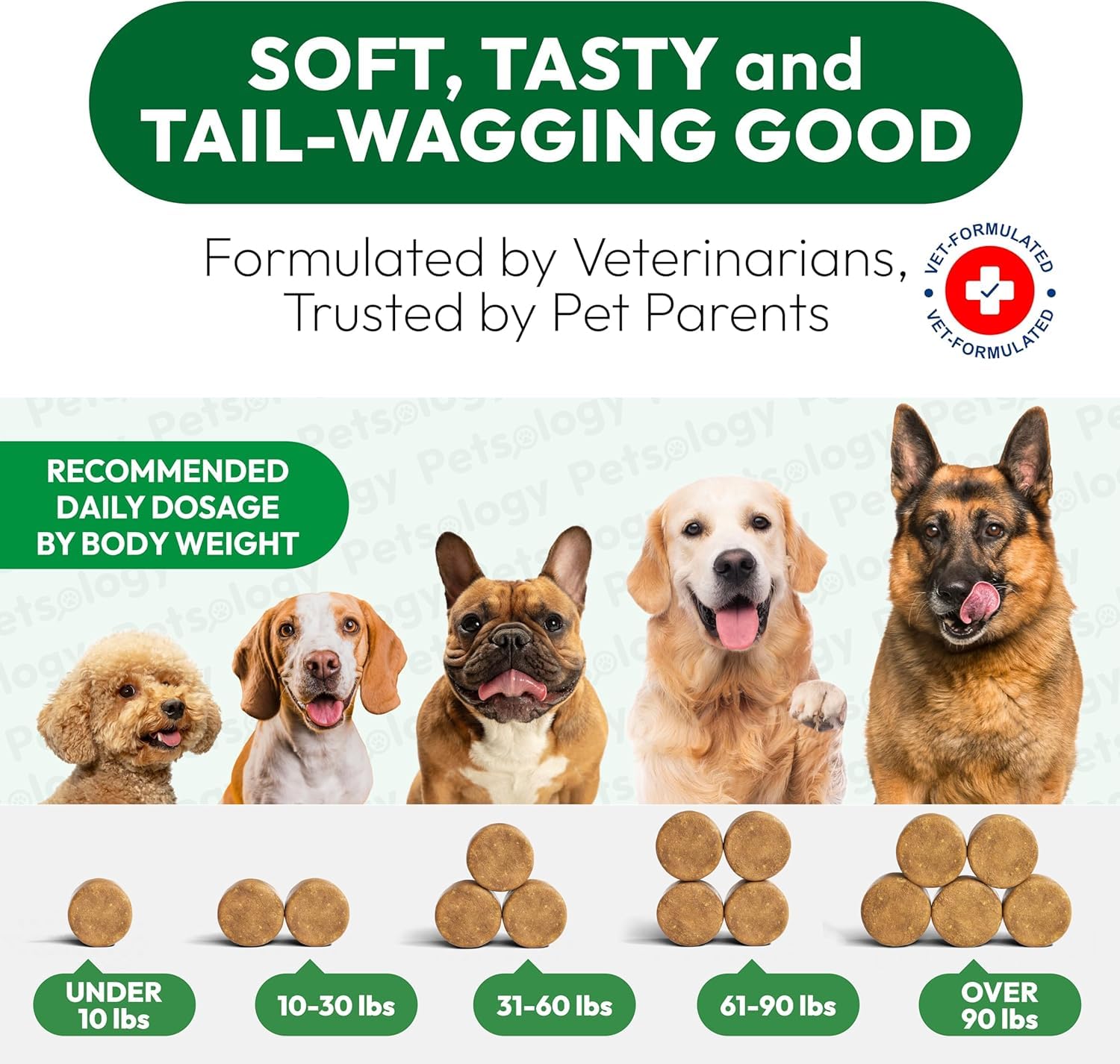 Petsology utilisation-quotidienne-chien: administration simple sans effort.