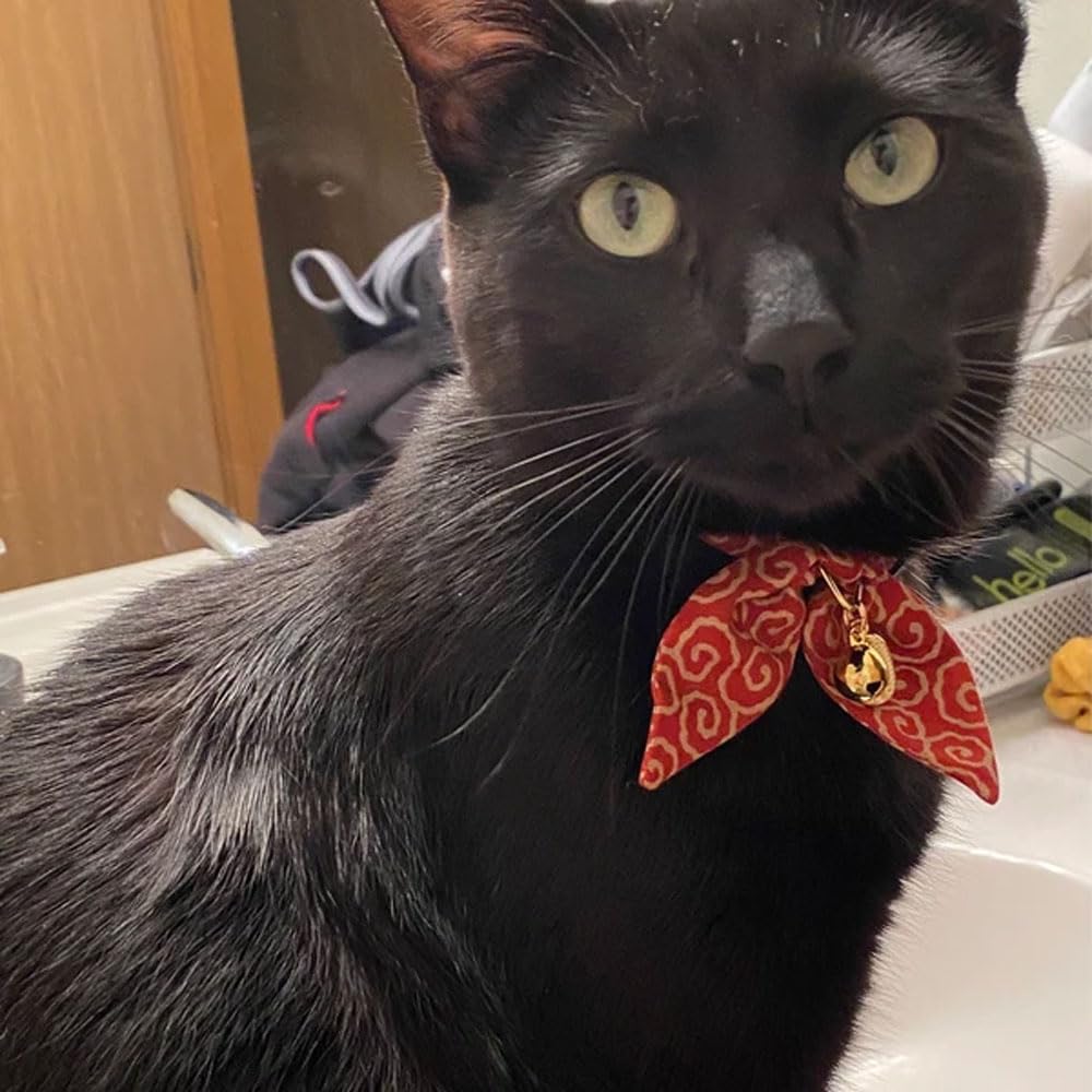 PetSoKoo clochette légère émet un tintement discret pendant les promenades.