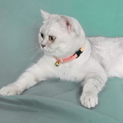 Collier PetSoKoo fait main, assurant une qualité soignée et durable.