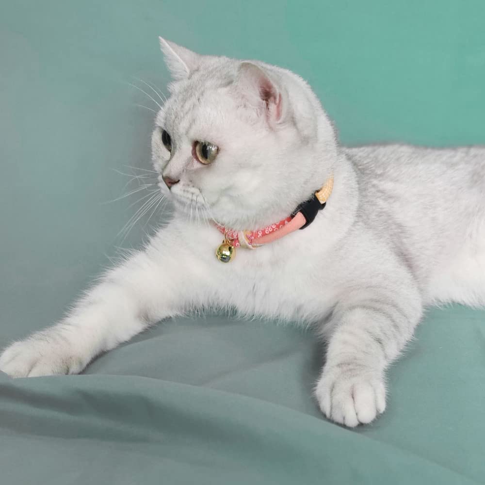 PetSoKoo collier-chat-taille-reglable, ajuste facilement pour chatons et adultes.