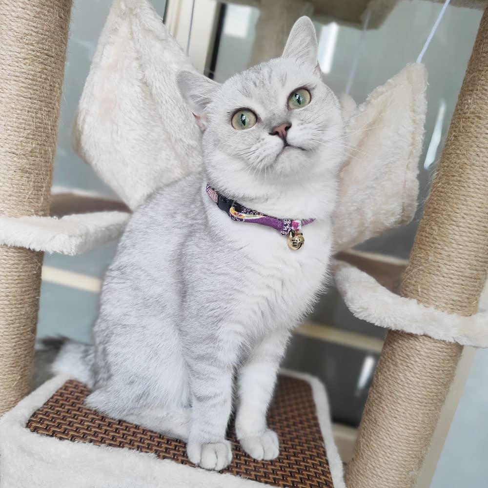 Collier chat réglable PetSoKoo, s'adapte facilement au cou de tous les chats.
