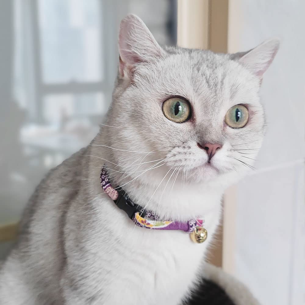 PetSoKoo collier fait-main: artisanat de qualité et soin des détails.