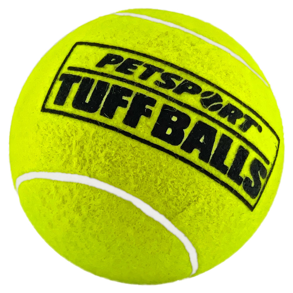 Chien en action avec la balle jaune PetSport pour rapport et récupération.