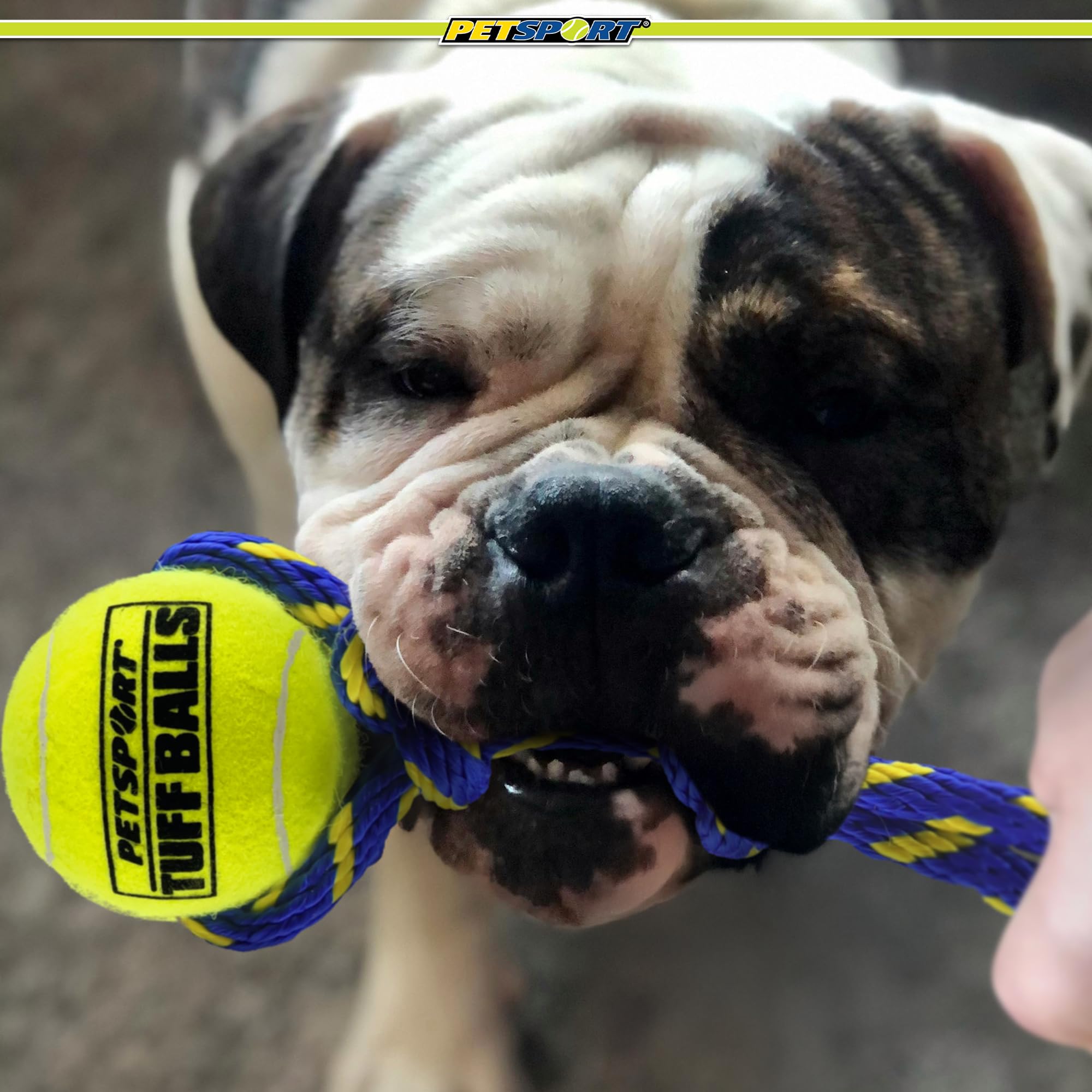 PetSport Fling Thing design durable et respectueux de l'environnement.