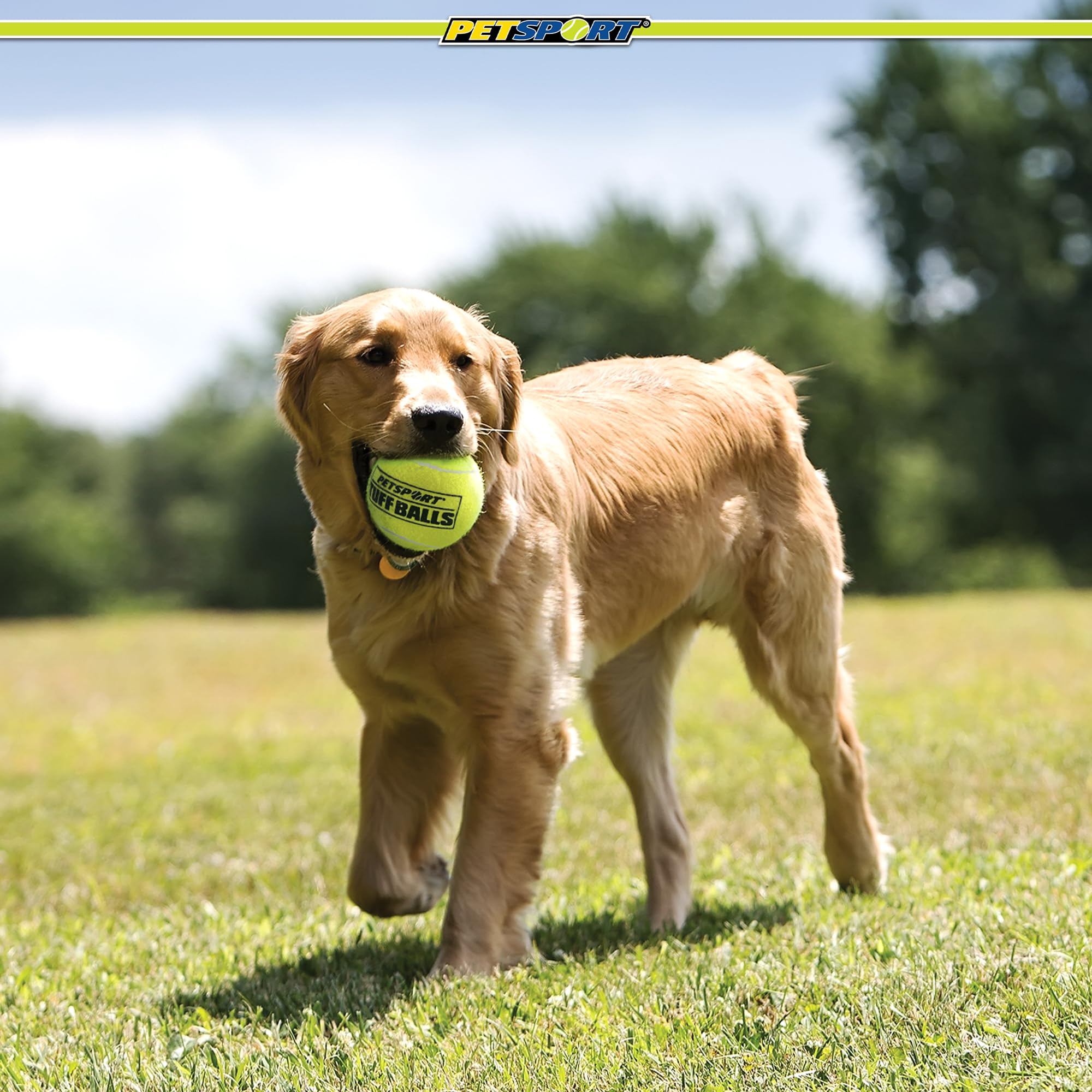 Boules Tuff PetSport USA 4 pouces, utilisation en extérieur pour chiens