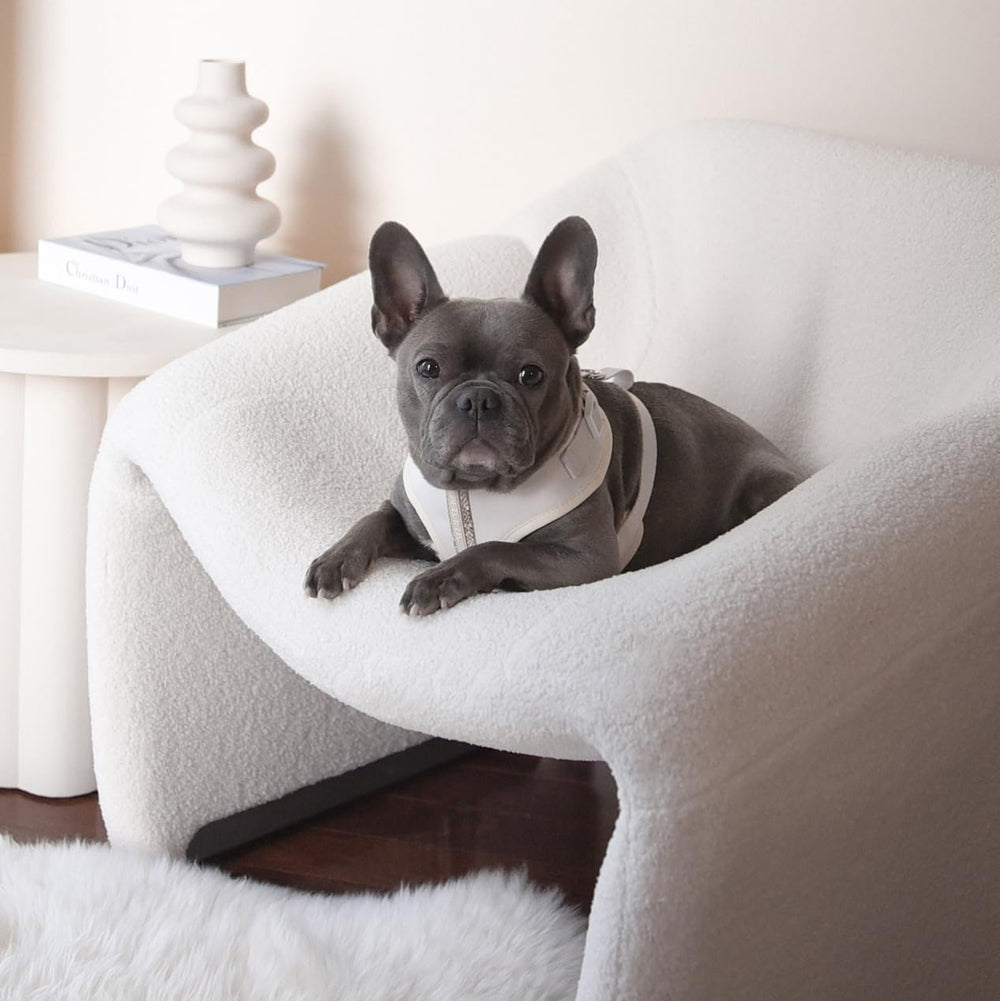 PETsRUS harnais blanc cassé motif serpent XS, couleur tendance et ajustement précis.