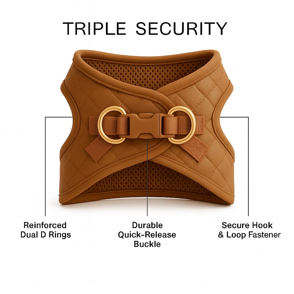 PETsRUS harnais chien anneaux-doubles securite renforcee et attache de laisse.