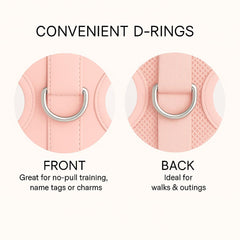 Harnais PETsRUS avec D-rings avant—contrôle lors du dressage.
