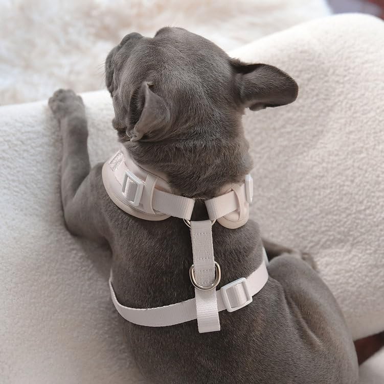 HARNAIS PETsRUS avec boucle latérale pour une mise en place rapide.