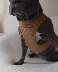 PETsRUS harnais chien cuir végan mesh leger pour confort et durabilite.
