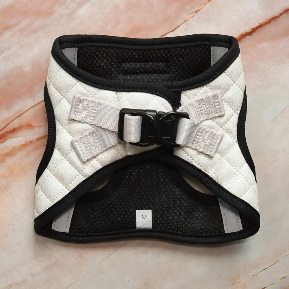 PETsRUS harnais-chien maille-respirante assure ventilation lors des balades.