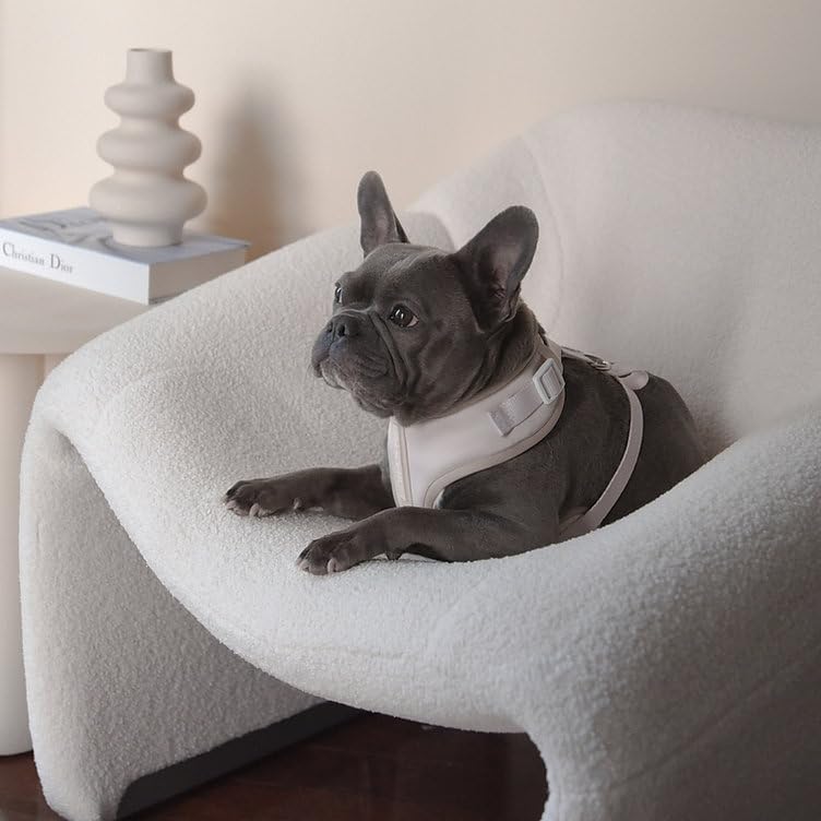HARNAIS PETsRUS avec maille respirante pour une meilleure ventilation pendant l’effort.