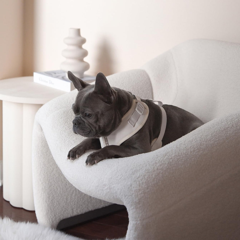 Logo PETsRUS orienté vers l'avant assure un ajustement confortable