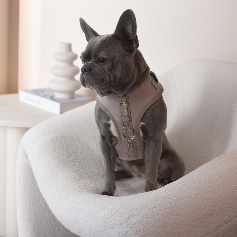 Réglages complets pour un ajustement sûr et confortable sur petits et moyens chiens PETsRUS.