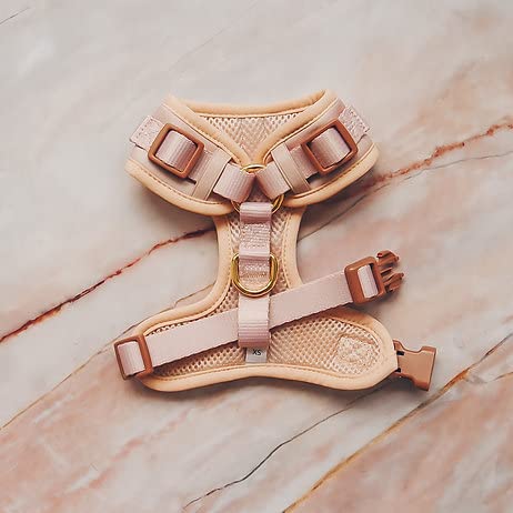 PETsRUS harnais chien sans tir Rose Beige XS — anneaux frontaux pour guidage.
