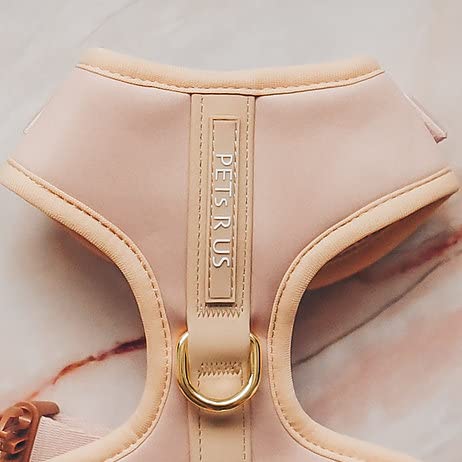 PETsRUS harnais chien sans tir Rose Beige XS — détail devant avec anneaux D.