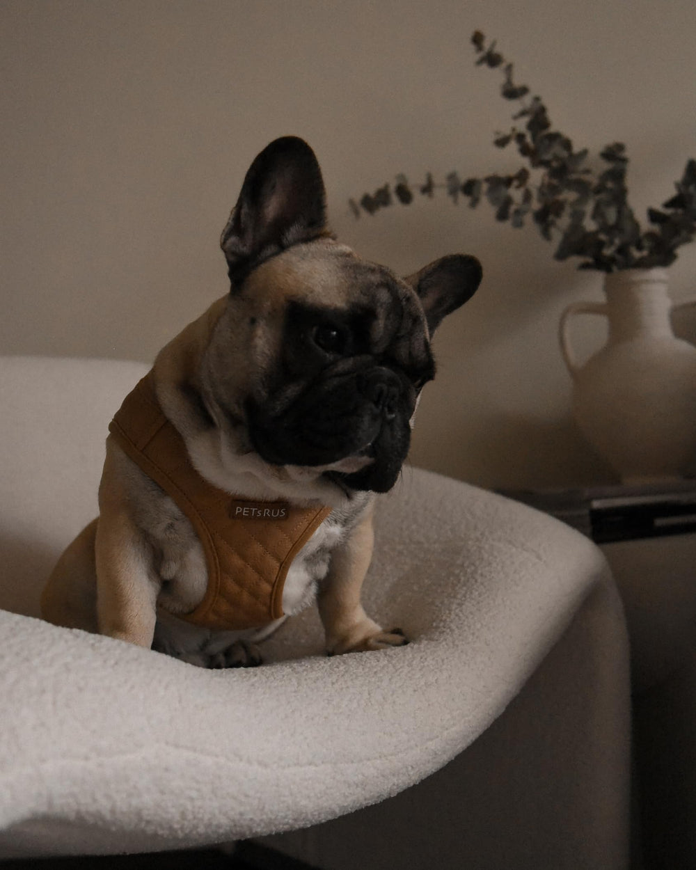 PETsRUS harnais chien tissu-respirant taille-ajustable pour tous les chiens.