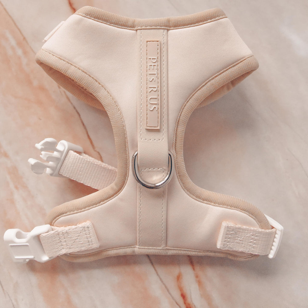 Harnais crème PETsRUS pour chien élégant et confortable.