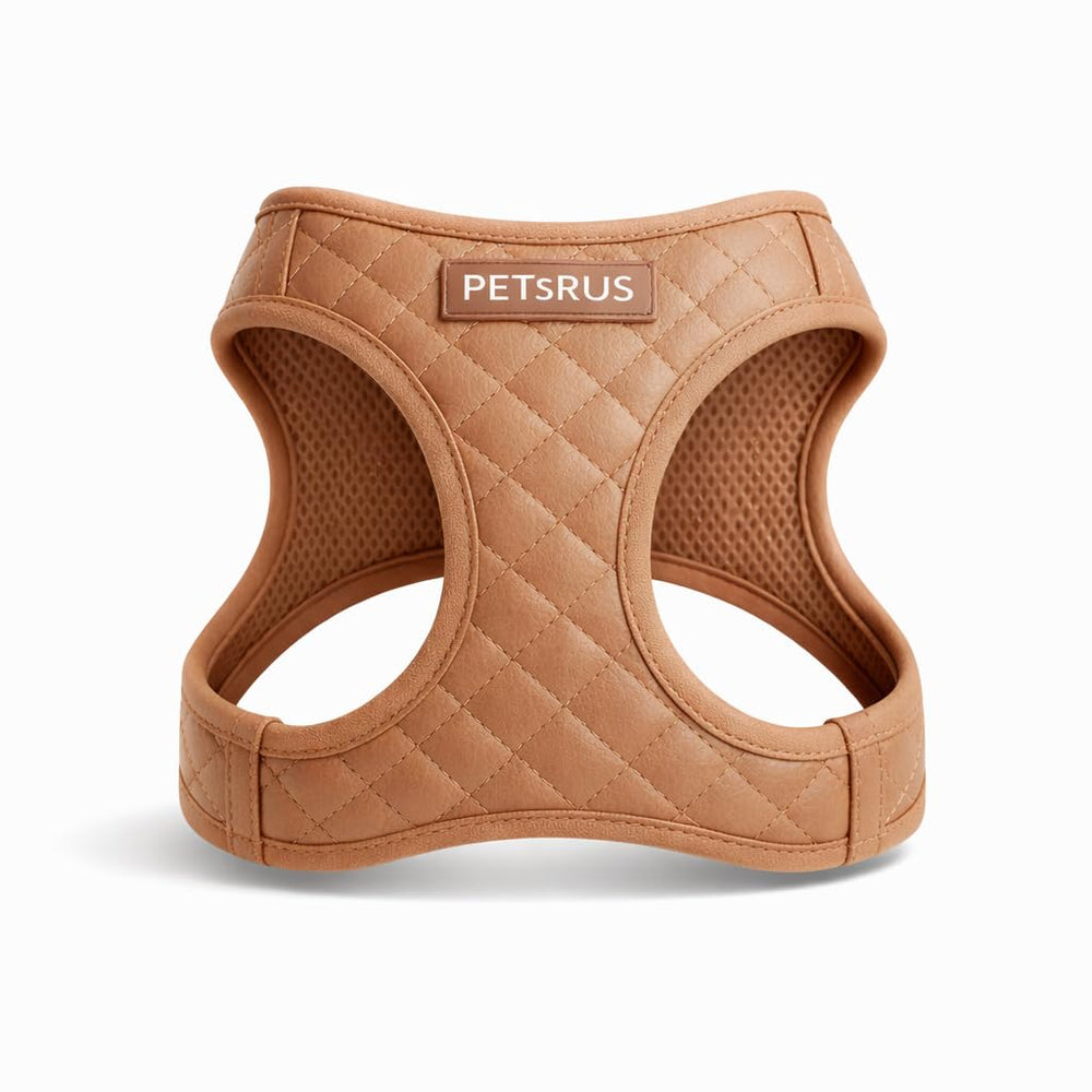 PETsRUS harnais a enfiler pour chien en mesh exterieur, ventilation lors des balades.