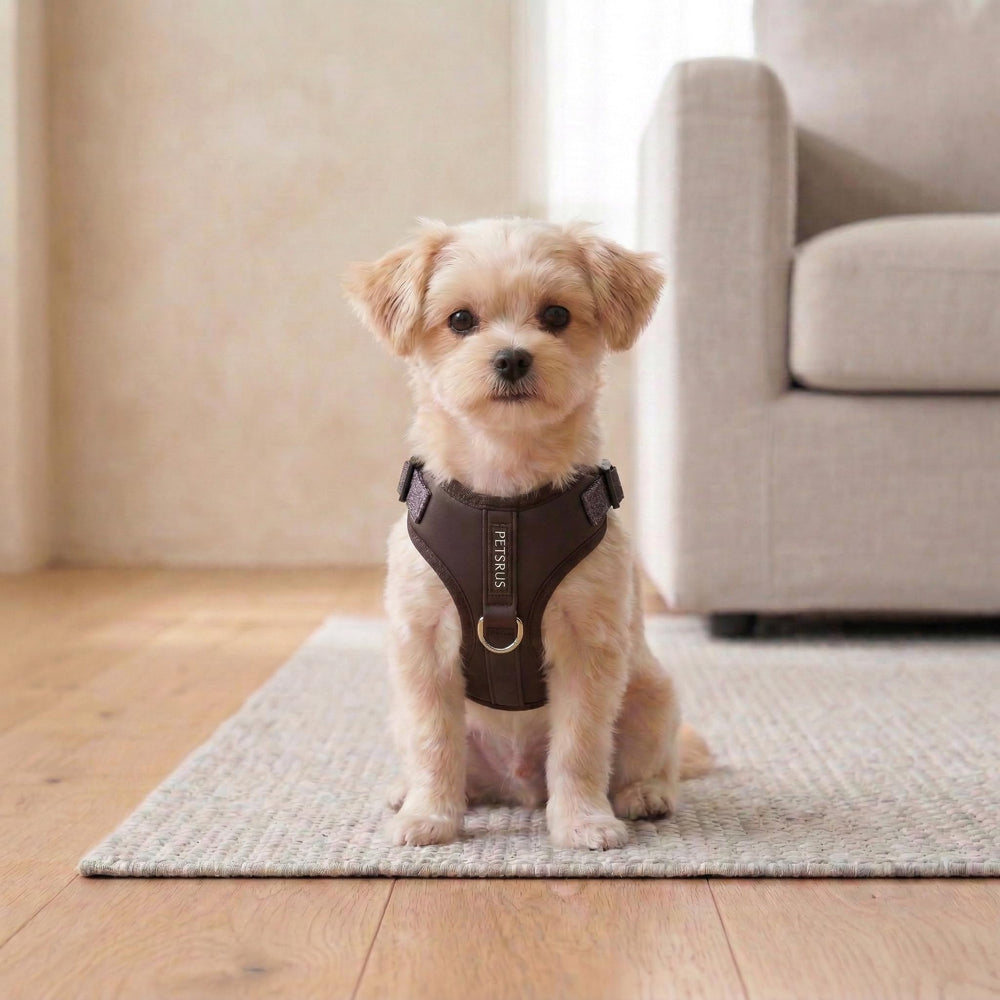 Guide des tailles PETsRUS pour un ajustement précis et confortable