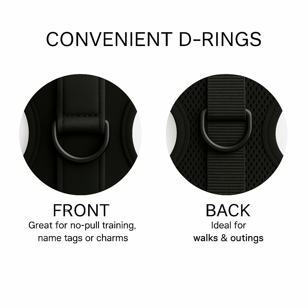 HARNAIS PETsRUS avec D-Ring arrière pour promenades quotidiennes