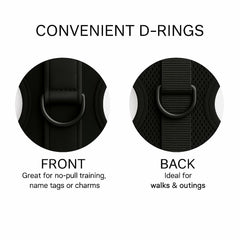 HARNAIS PETsRUS avec D-Ring arrière pour promenades quotidiennes