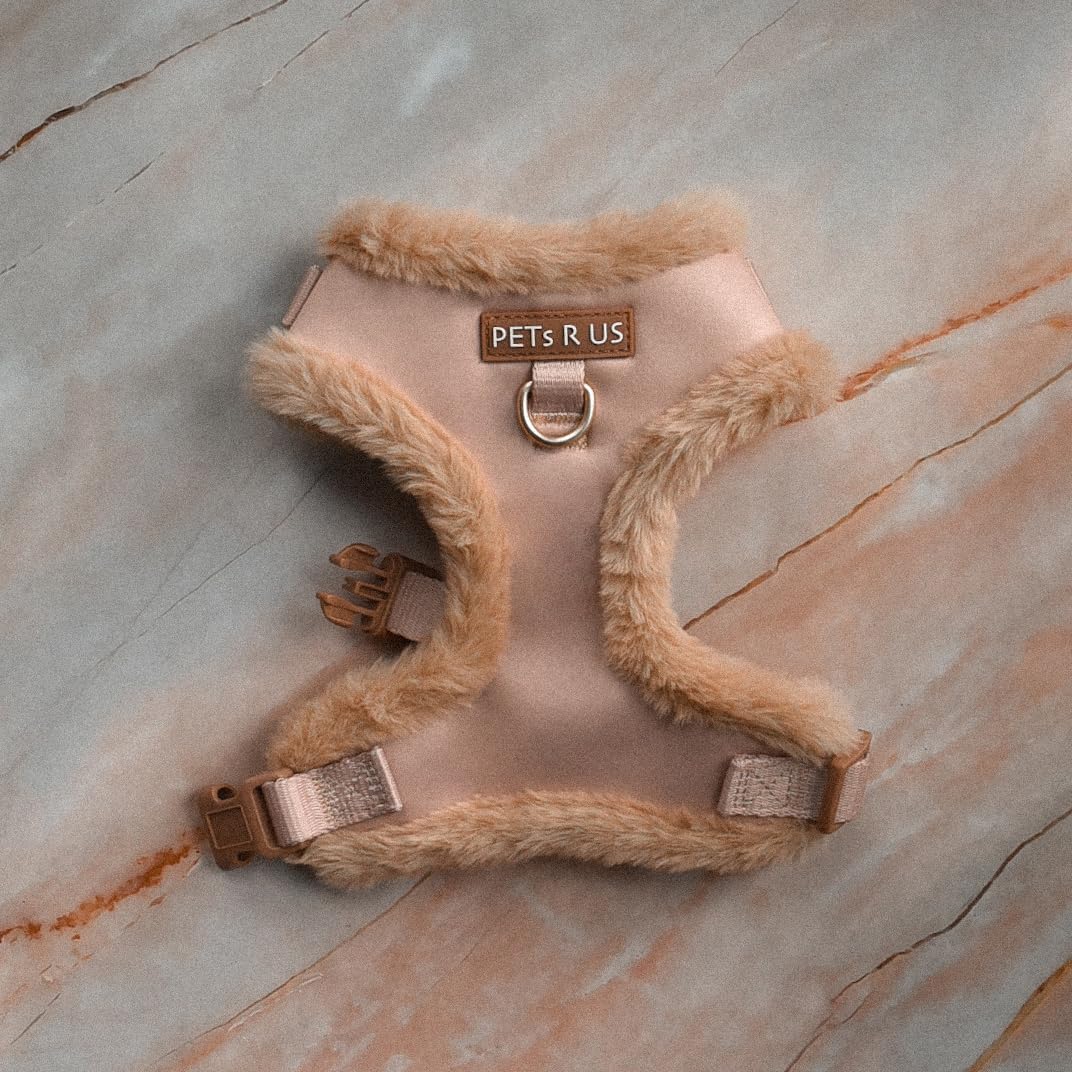 Harnais PETsRUS XS pour petites et moyennes races, confort