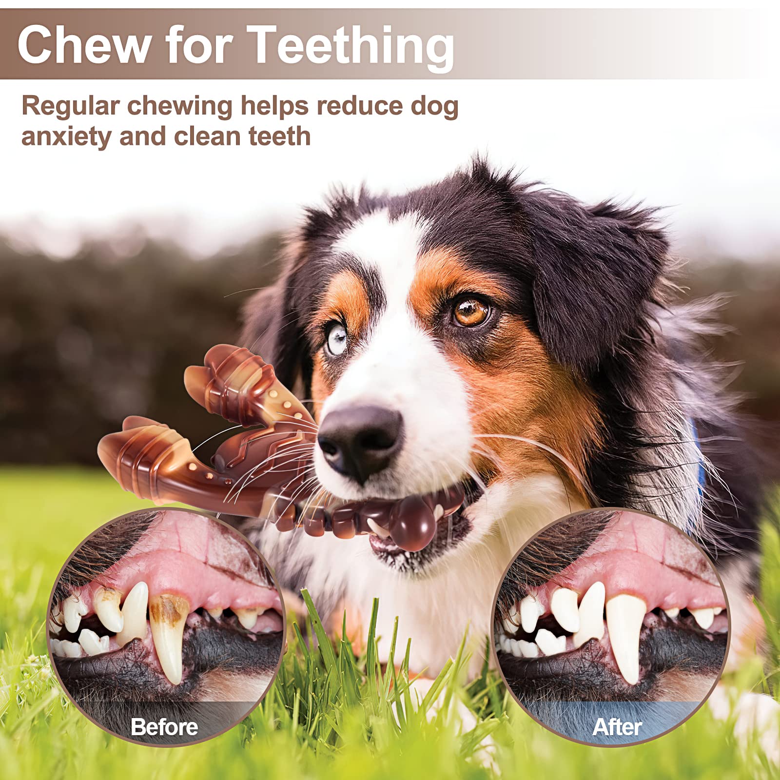 Jouet PETSTA conçu pour chien agressif: résistance durable pour de longues sessions.