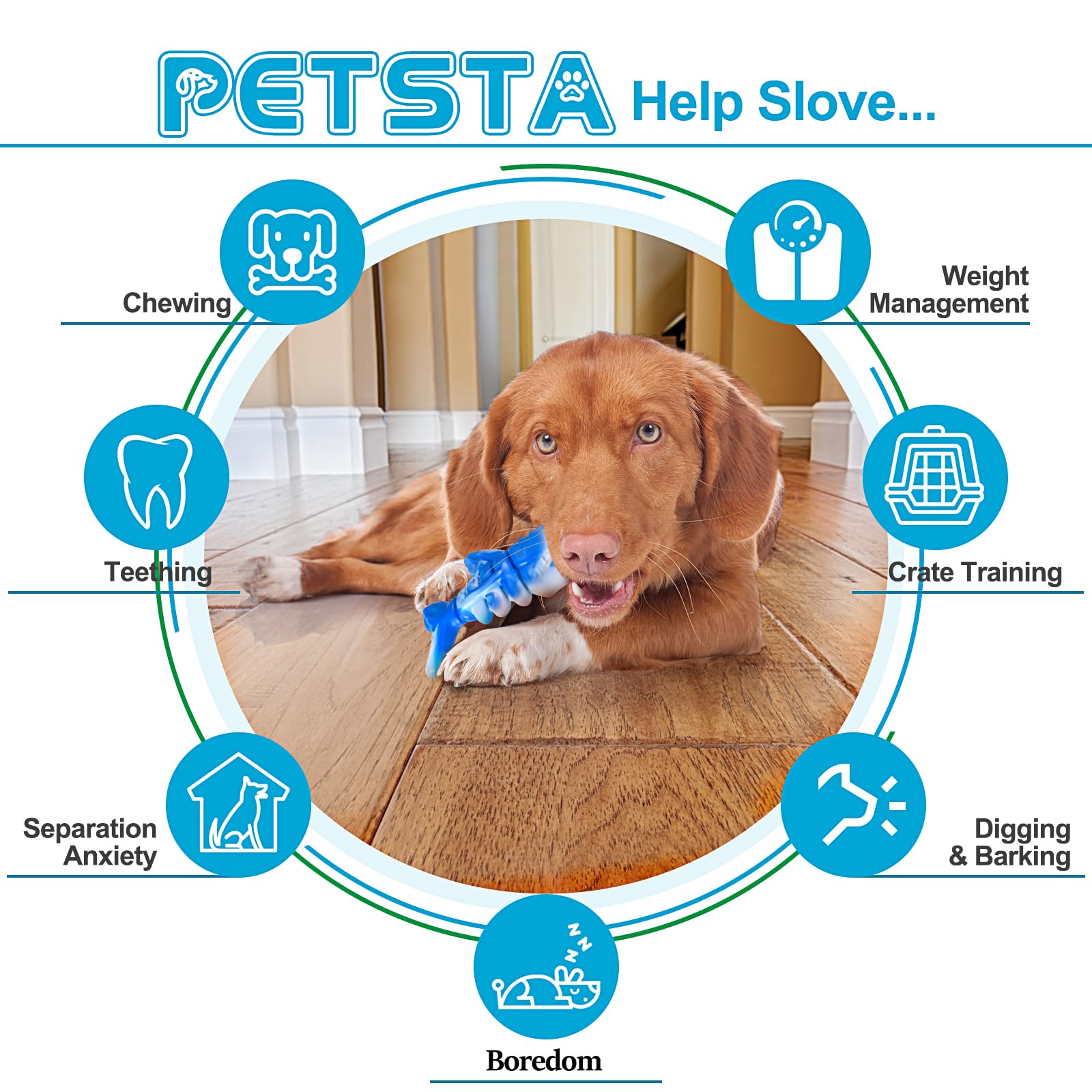 PETSTA loisir durable et longue durée, aide à canaliser l'énergie du chien.