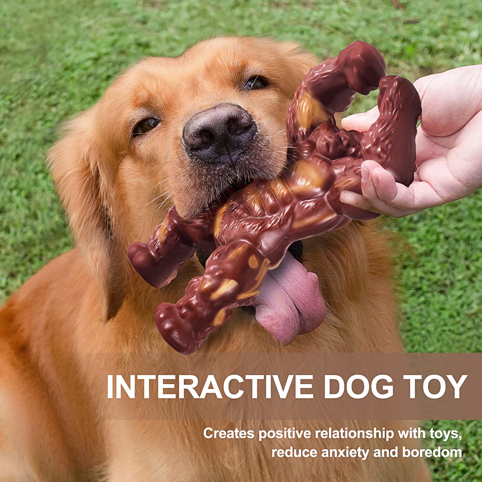 PETSTA os design résistant adapté aux grands chiens