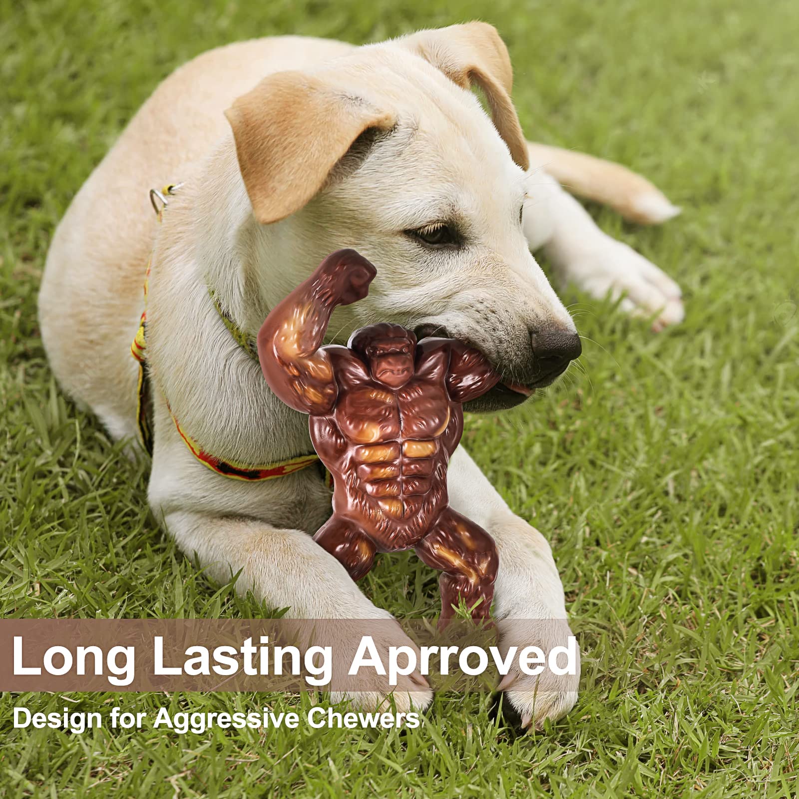 PETSTA nylon alimentaire pour chien - os durable et sûr