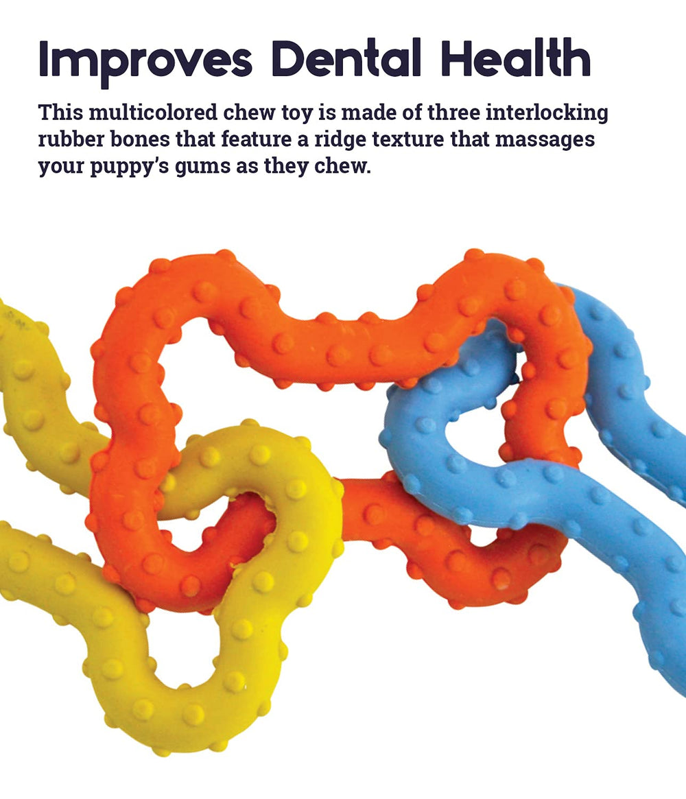 Petstages Mini Bone Tug, design polyvalent pour lancer, transporter et poursuivre avec votre chiot.