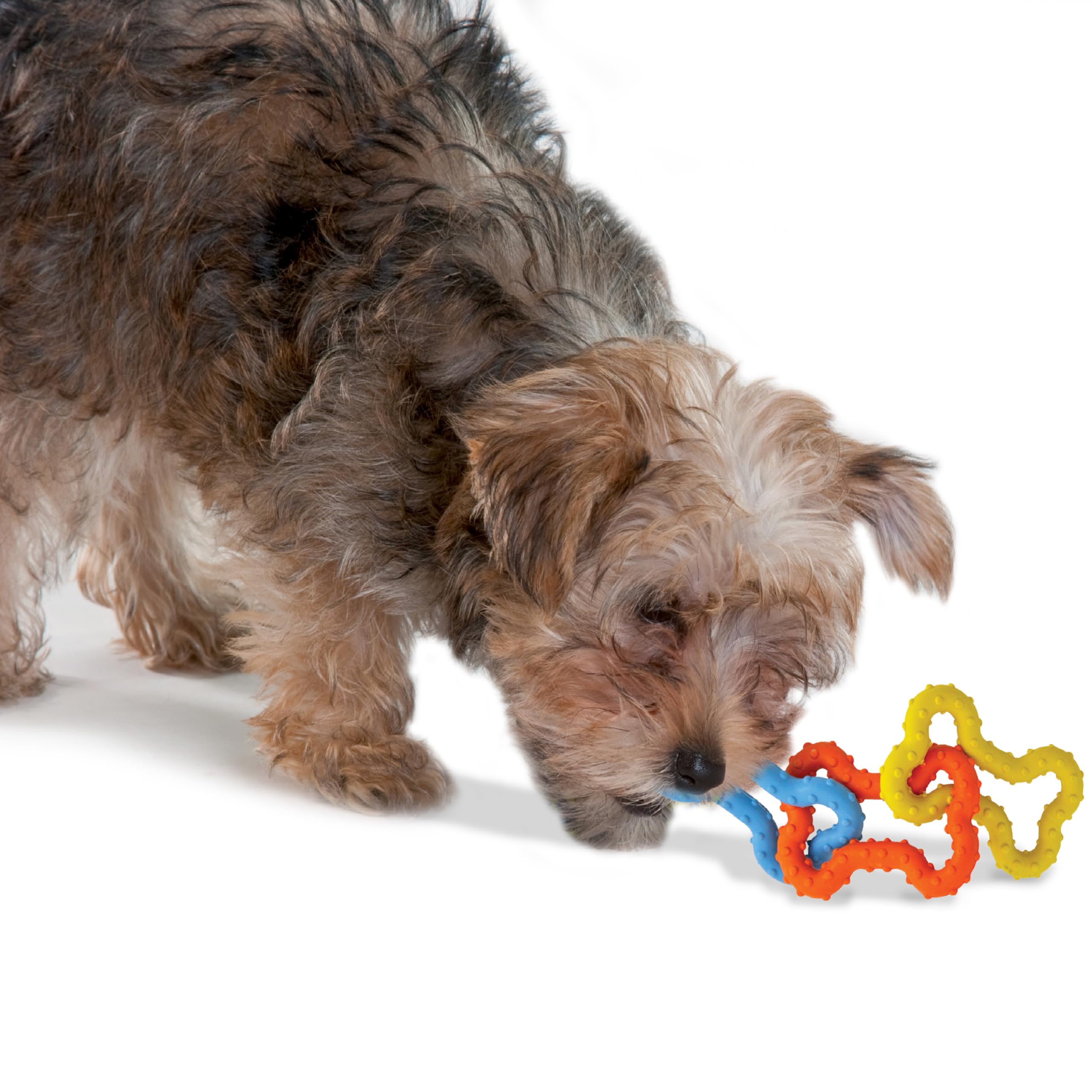 Petstages Mini Bone Tug, jouet sûr pour chiot, favorise le jeu interactif sans pression.