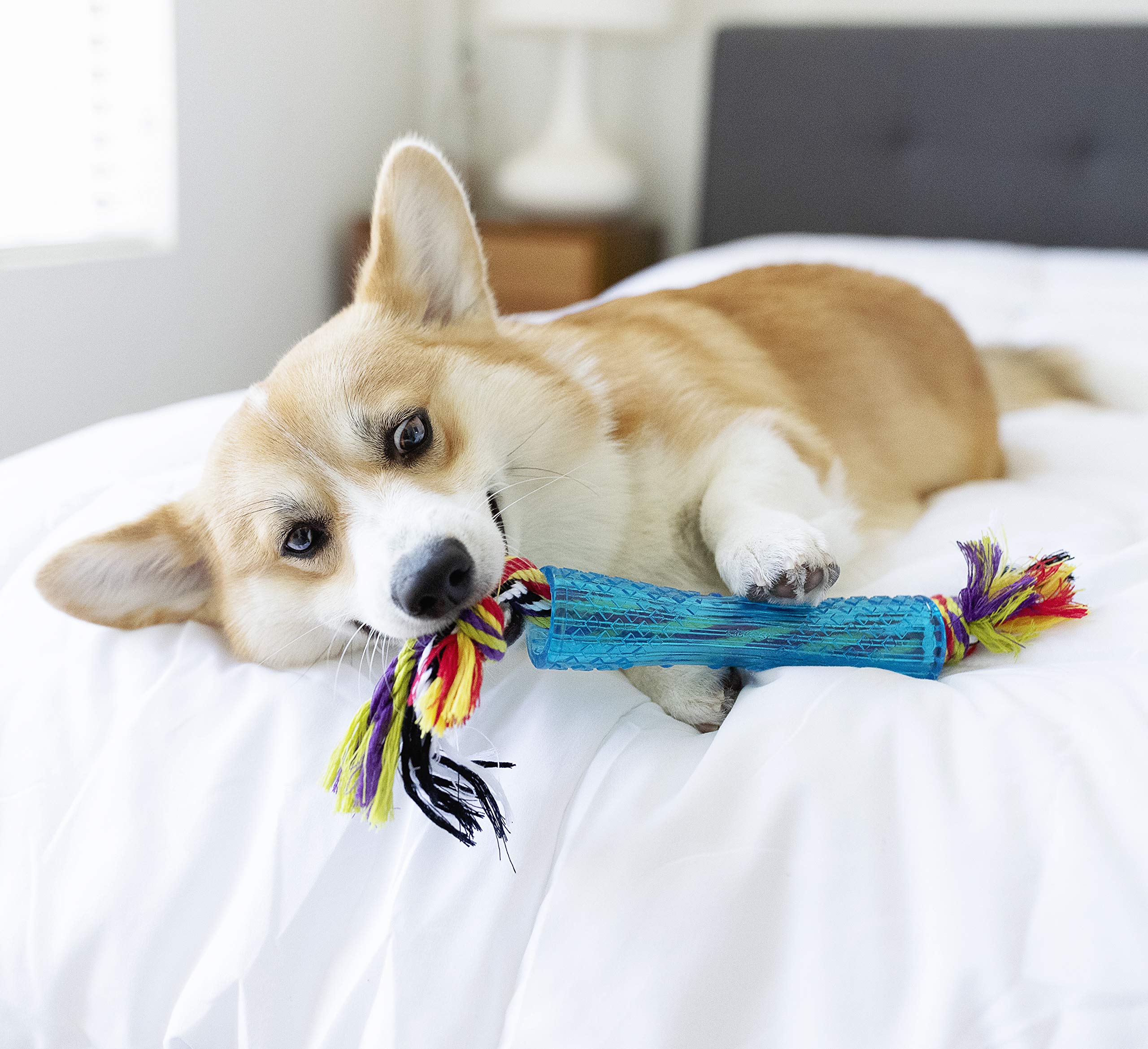 Petstages Orka Stick – branche réaliste, facile à lancer et rapporter lors des jeux.