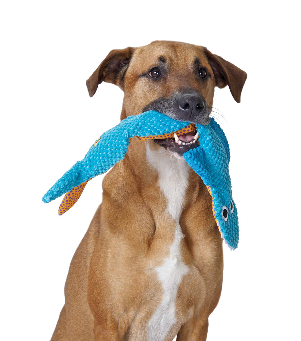Petstages Requin — sans bourrage; sécurité et durabilité.