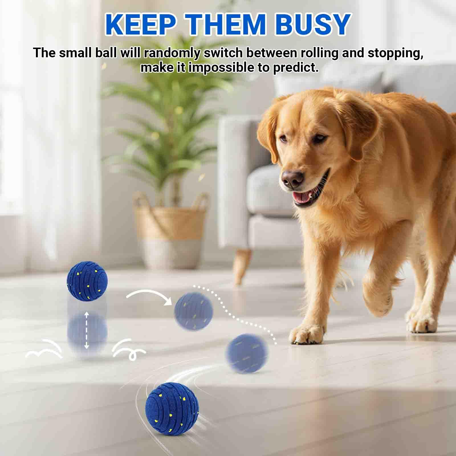 PETSWEET compatible pour chiens de toutes tailles, sessions interactives variées.