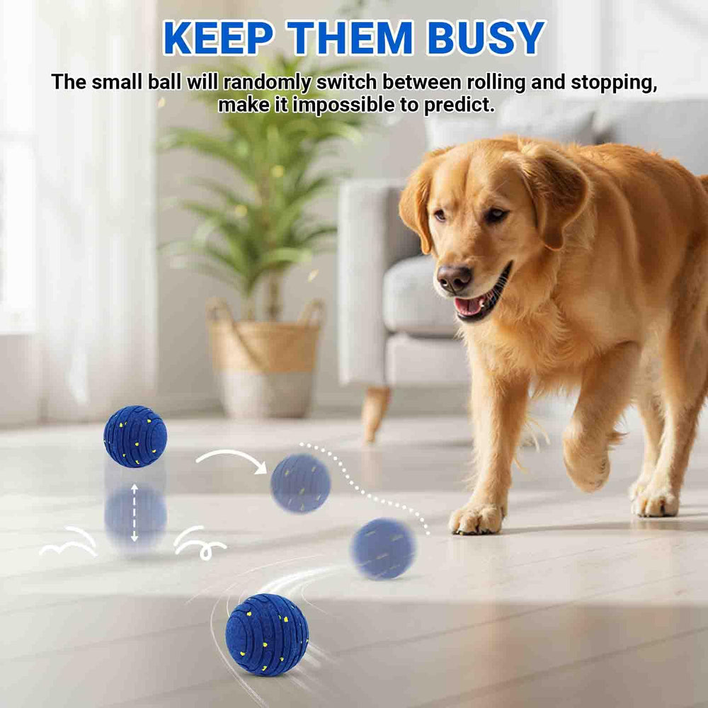 PETSWEET compatible pour chiens de toutes tailles, sessions interactives variées.