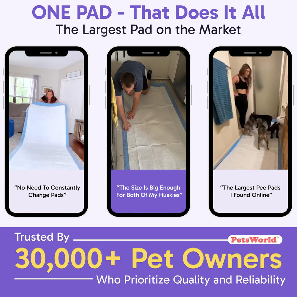 PETSWORLD recuperation post-chirurgie: soutien hygiénique et nettoyage facilité.