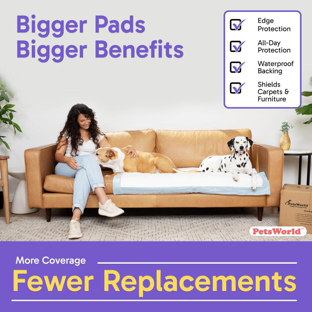 PETSWORLD Revetement impermeable 5-couches – protection durable des sols.